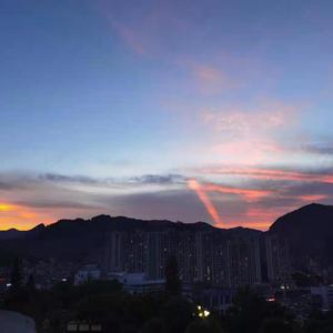 公狗狂操女主人的骚逼
